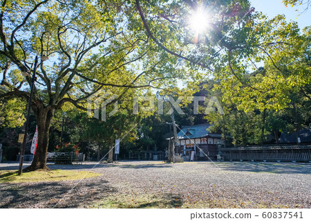 Tanabe city cockfighting shrine grounds 60837541