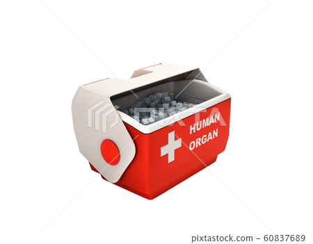 open human organ refrigerator box red 3d render no 60837689