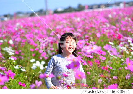 Girl energy autumn cosmos pink Girl energy autumn cosmos pink 60838665