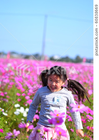 Girl energy autumn cosmos pink Girl energy autumn cosmos pink 60838669