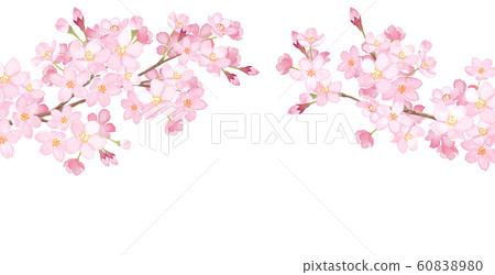 Spring flowers: Sakura arched frame watercolor illustration Spring flowers: Sakura arched frame watercolor illustration 60838980