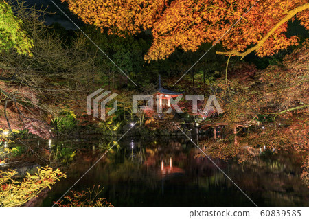 Light up of Daigoji Temple 60839585
