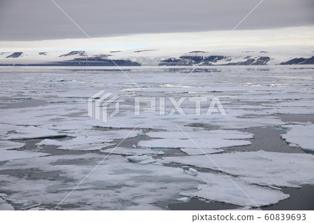 Arctic sea ice (Svalbard) Arctic sea ice (Svalbard) 60839693