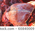 Proves Diagnosis of Cow Heart Disease Find the 60840009