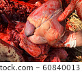 Proves Diagnosis of Cow Heart Disease Find the 60840013