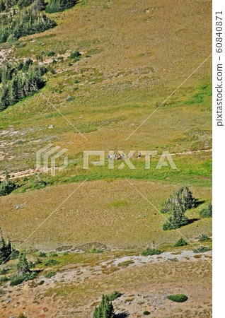 雷尼爾山國家公園 60840871