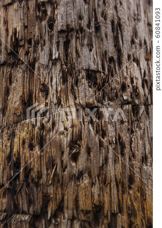 Texture of old wood with cracks, background 60841093