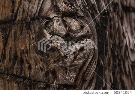 Texture of old wood with cracks, background 60841094