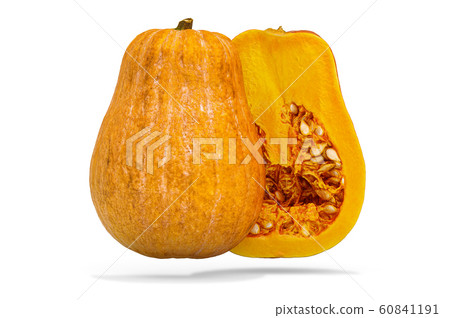 Squash, cross-section 60841191