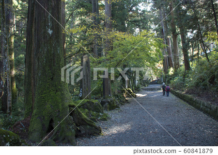 Daiyuzan Saijoji Temple Minami Ashigara City, Kanagawa Sando Daiyuzan Saijoji Temple Minami Ashigara City, Kanagawa Sando 60841879