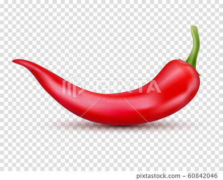 Fresh red hot chili pepper. Kitchen organic vector spicy taste chili mexican pepper 60842046