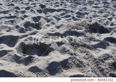 Inage海灘白沙 60842102