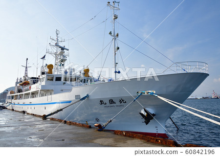 Photographing the mooring of the fishery training boat Hokuhomaru at Hakodate Port, Hakodate City, Hokkaido 60842196