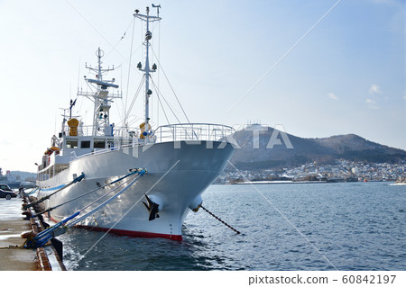 Photographing the mooring of the fishery training boat Hokuhomaru at Hakodate Port, Hakodate City, Hokkaido 60842197