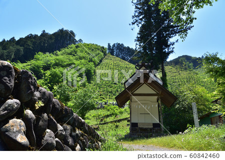 Okutama / Mitake Soreisha 60842460