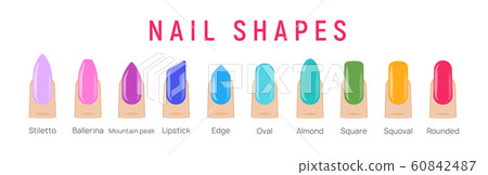 Nail shapes manicure vector art. Fingernail shape french form design fashion salon Nail shapes manicure vector art. Fingernail shape french form design fashion salon 60842487
