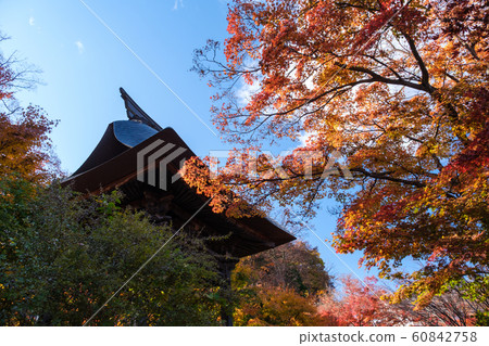 Autumn leaves and bell tower Autumn leaves and bell tower 60842758