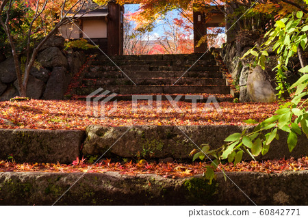 Dead stone steps Dead stone steps 60842771