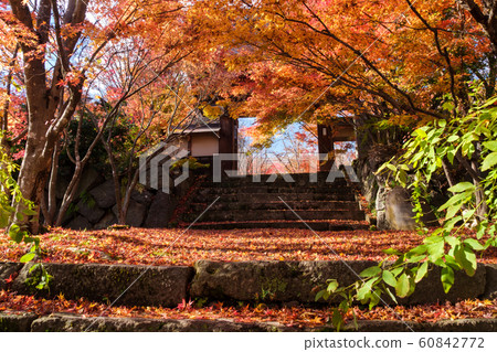 Autumn leaves at the gate Autumn leaves at the gate 60842772