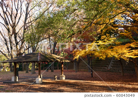 Park rest area Park rest area 60843049