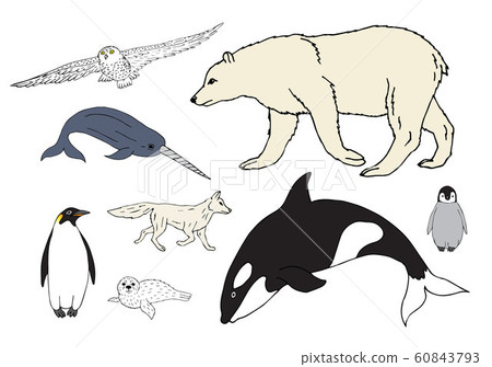 Vector set bundle of colored polar north animals Vector set bundle of colored polar north animals 60843793