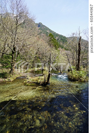 Kamikochi Takezawa濕地 Kamikochi Takezawa濕地 60844967