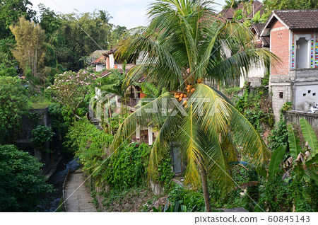 Ubud Bali Ubud Bali 60845143