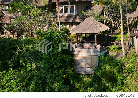 Ubud Bali 60845148