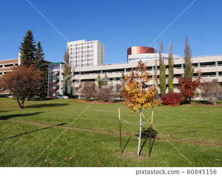 Mazankowski heart institute and University of Alberta 60845156