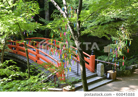 Kitano Tenmangu Shrine Historic Site Odoi Momijien Uguisashi Bridge 60845888
