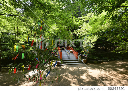 Kitano Tenmangu Shrine Historic Site Odoi Momijien Uguisashi Bridge 60845891