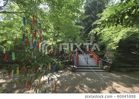 Kitano Tenmangu Shrine Historic Site Odoi Momijien Uguisashi Bridge 60845898