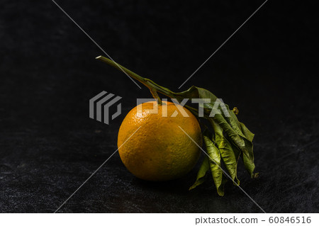 新年裝飾日本橙 新年裝飾日本橙 60846516