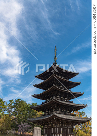 奈良興福寺五層寶塔 60848507