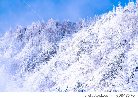  《山梨縣》桑托格冰雪森林 60848570