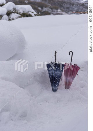 [Kenrokuen Japanese umbrella] 60848644