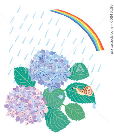 A June landscape of hydrangeas, snails, rainbows and rain A June landscape of hydrangeas, snails, rainbows and rain 60849180