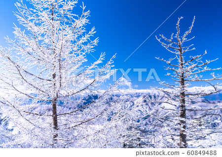  《山梨縣》桑托格冰雪森林 60849488