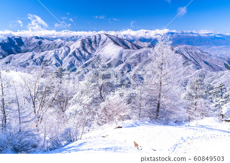  《Yamanashi Prefecture》Frosted Ice Forest, Santoge 60849503