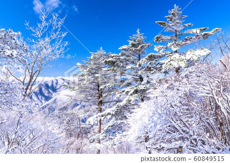  《Yamanashi Prefecture》Frosted Ice Forest, Santoge 60849515