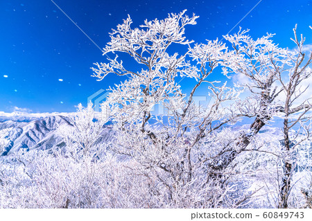  《山梨縣》桑托格冰雪森林 60849743