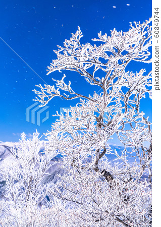  《山梨縣》桑托格冰雪森林 60849744