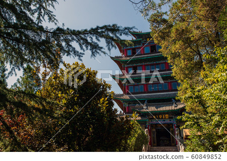 The view from Pagoda (Wangu Tower) on Lion Hill. 60849852