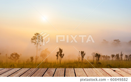 wooden table top with Pinus mugo - It is also wooden table top with Pinus mugo - It is also 60849882