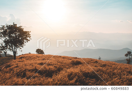 colorful dramatic sky with cloud at sunset in the 60849883
