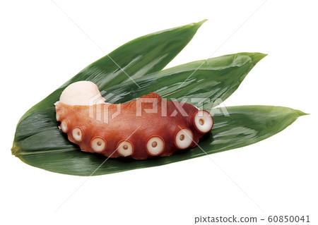 博伊爾章魚04(通過) 博伊爾章魚04(通過) 60850041