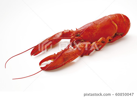 Boil Lobster 11 (with pass) Boil Lobster 11 (with pass) 60850047