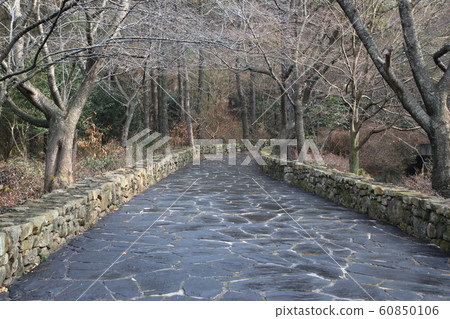 Jeonnam, Yeongam-gun. Jeonnam, Yeongam-gun. 60850106