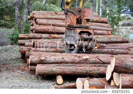 Thinning wood and heavy machinery Thinning wood and heavy machinery 60850291