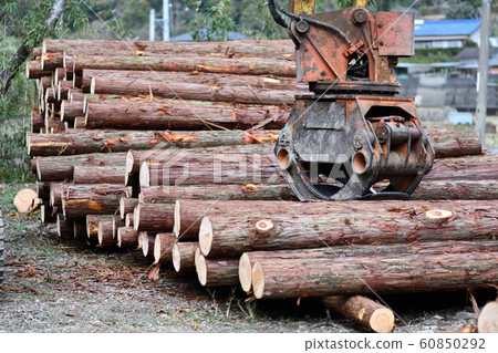 Thinning wood and heavy machinery Thinning wood and heavy machinery 60850292
